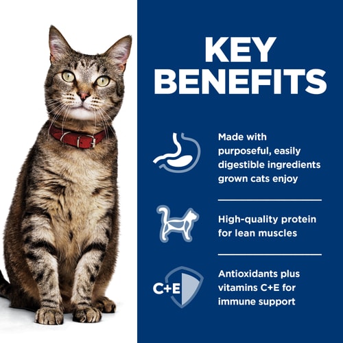 Key Benefits