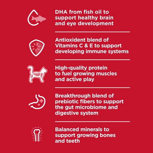 Key Benefits