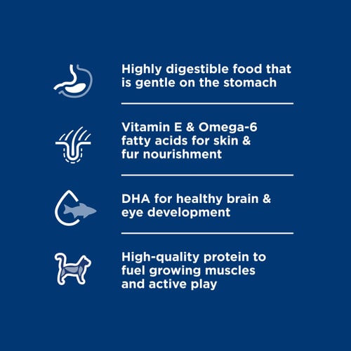 Key Benefits