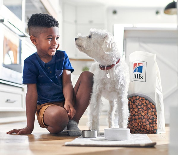 young boy and dog in kitchen