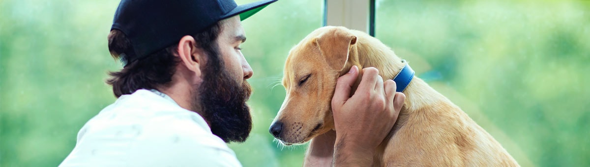 woman petting dog