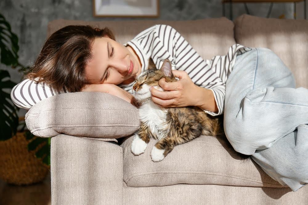 Supporting cat health dehydration