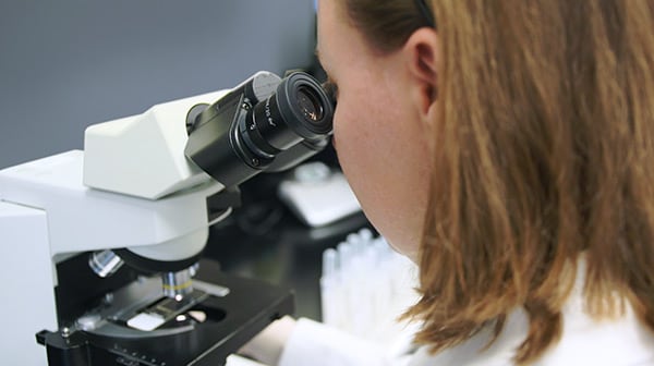 image of scientist examining product in microscope