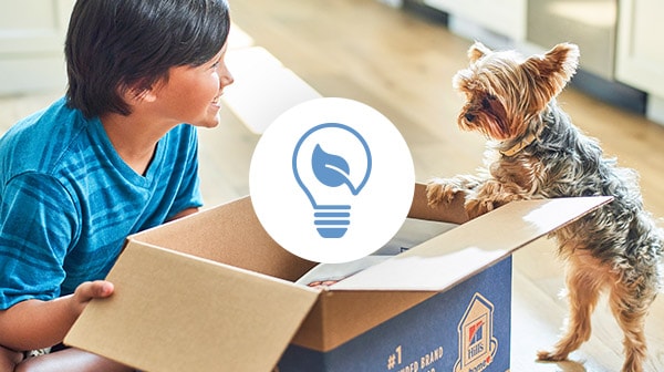 young boy and dog looking at recyclable hill’s box