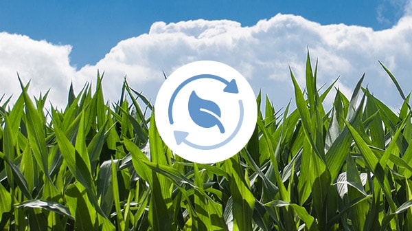 image of field with sustainable sourcing icon over it