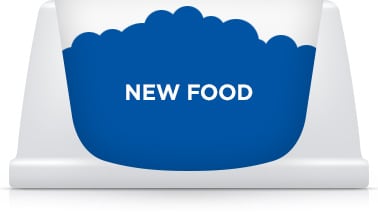 pet food transition day 7