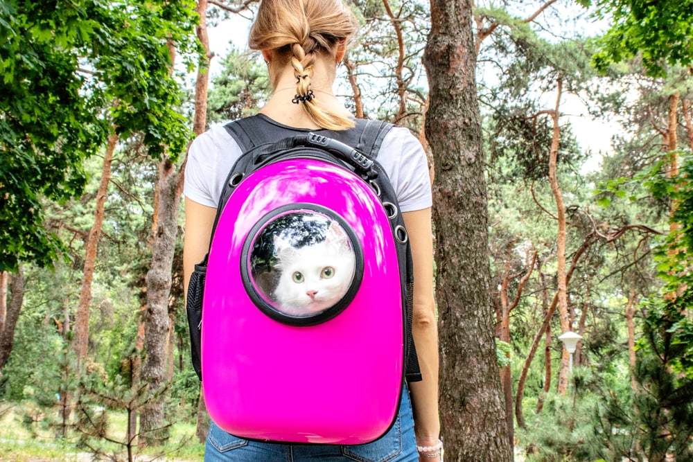 Woman hiking with pink backpack with a white cat in it staring out bubble window.