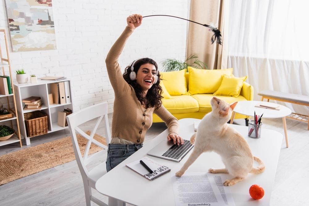 woman-playing-with-her-cat Woman playing with her cat