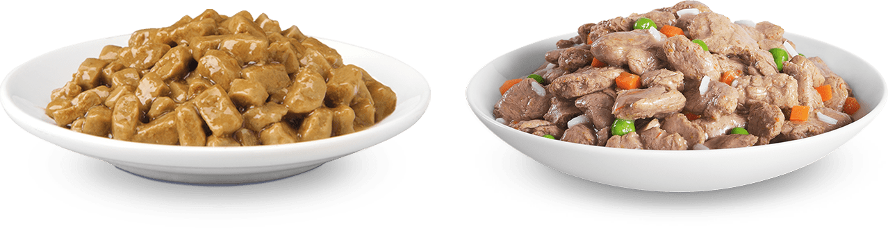 bowls of wet hill’s foods