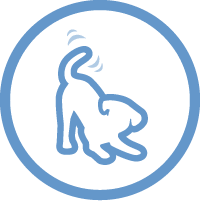 energy icon