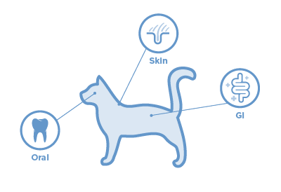 location of microbiomes on cat