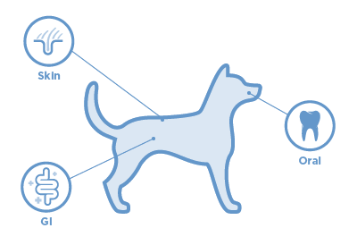 location of microbiomes on dog