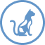 Muscles icon