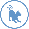 Paw