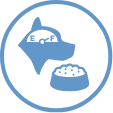 Dog with bowl