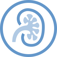 ICON KIDNEY SUPPORT