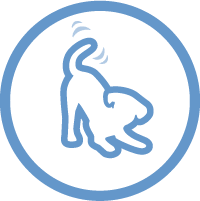 activity icon