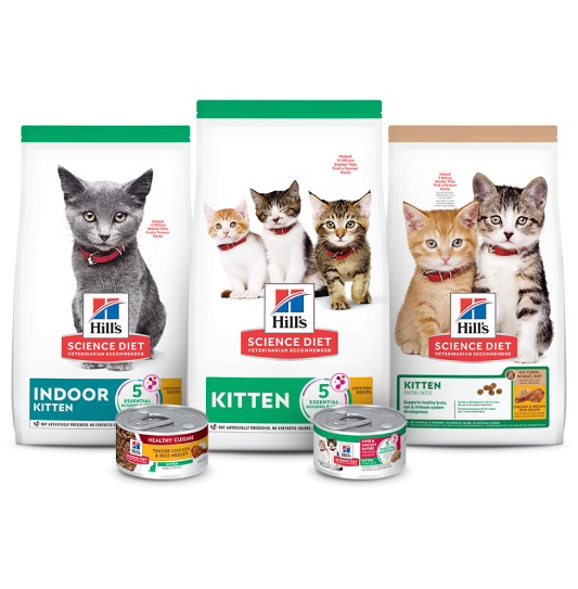 Science Diet Dry Kitten Food Bags Science Diet Dry Kitten Food Bags