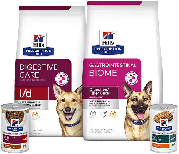 Packshot Digestive Care