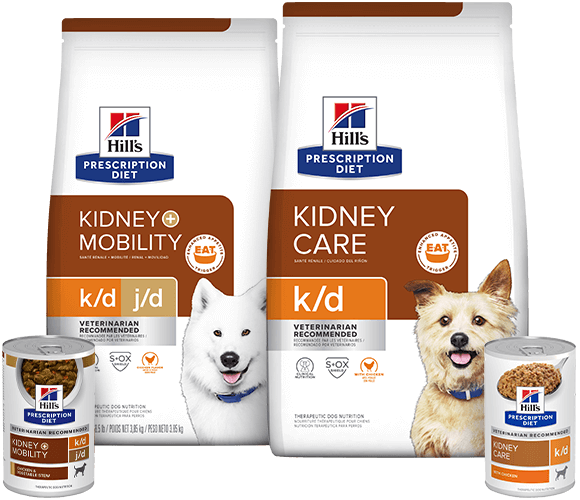 Packshot Kidney Care