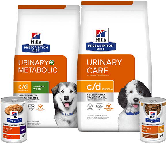 Packshot Urinary Care