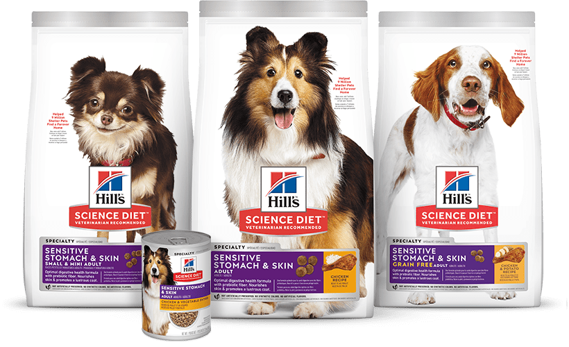 DIGESTIVE HEALTH DOG FOODS