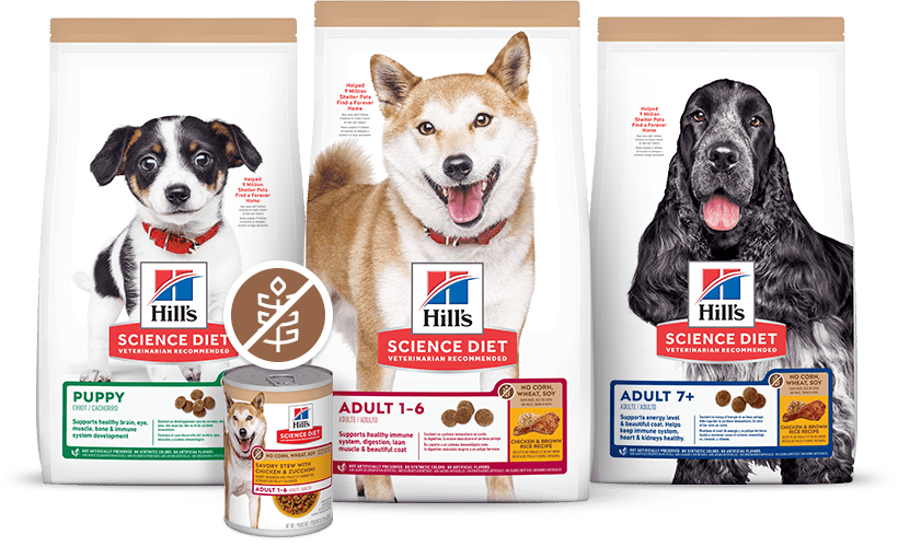NO CORN, WHEAT OR SOY DOG FOODS