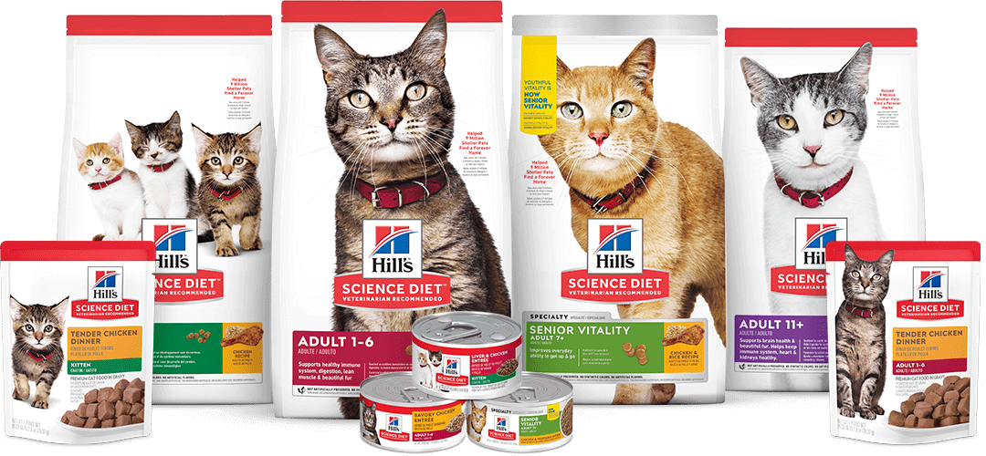 Packshots Cat SD