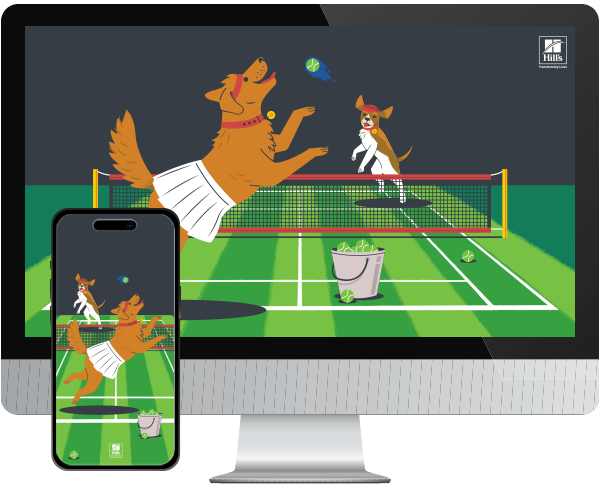 Desktop & mobile example of "Summer Tennis" pet wallpaper for phones