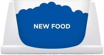 pet food transition day 7