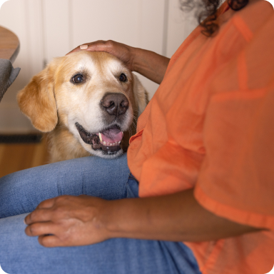 A woman pets a happy golden retriever.
