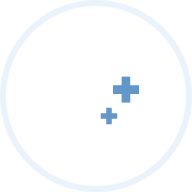 Stomach Icon