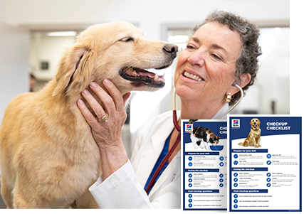 Veterinarian visits with her dog patient